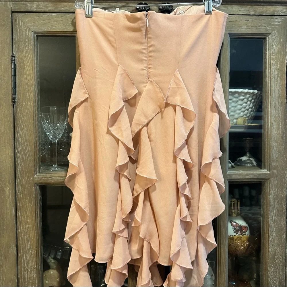 Revolve Denali Blush Mini Dress - Picture 7 of 11